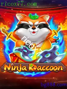 NinjaRaccoon
